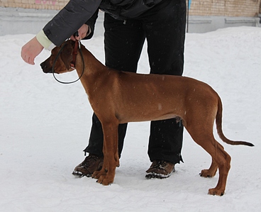 click for enlarge 944 X 768 210,4 Kb picture