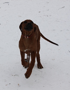 click for enlarge 768 X 981 187,1 Kb picture