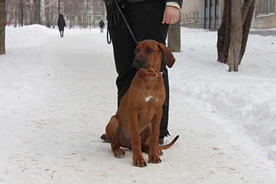 click for enlarge 1024 X 683 240,0 Kb picture