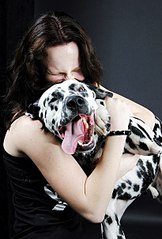 click for enlarge 409 X 604 47,9 Kb picture