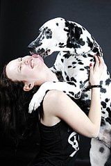 click for enlarge 403 X 604  48,8 Kb picture