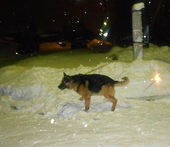 click for enlarge 831 X 723 126,9 Kb picture