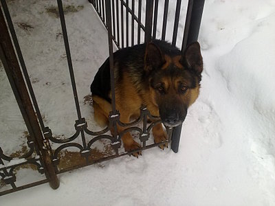 click for enlarge 1920 X 1440 317,8 Kb picture