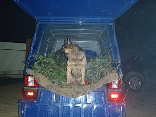 click for enlarge 1280 X 960 187,3 Kb picture