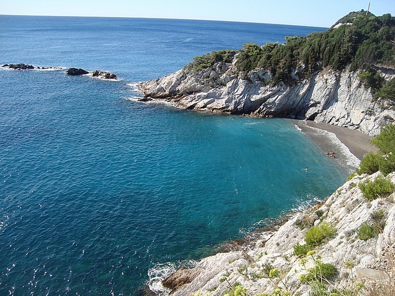 click for enlarge 807 X 605 219,6 Kb picture