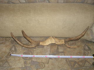 click for enlarge 1920 X 1440 400,1 Kb picture