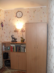 click for enlarge 1920 X 2560 289,8 Kb picture