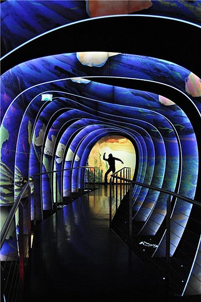 click for enlarge 425 X 640 62,6 Kb picture