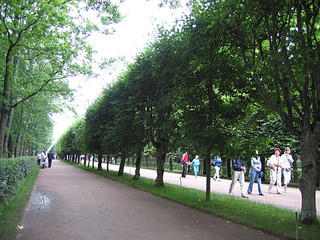 click for enlarge 1920 X 1440 972,5 Kb picture