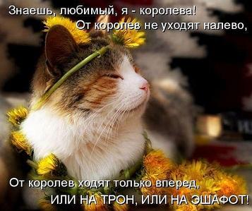 click for enlarge 600 X 503  54,2 Kb picture