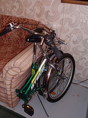 click for enlarge 1920 X 2560 383,1 Kb picture