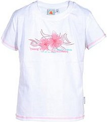 click for enlarge 221 X 250 5,9 Kb picture