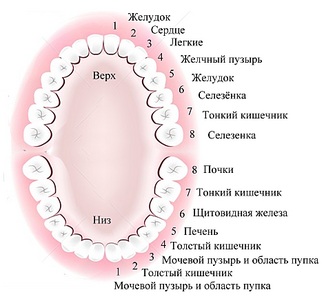 click for enlarge 939 X 868 140,0 Kb picture