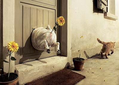click for enlarge 604 X 430  63,2 Kb picture
