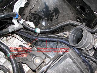 click for enlarge 1920 X 1440 607,2 Kb picture