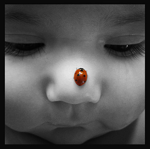 click for enlarge 1920 X 1905 781,7 Kb picture