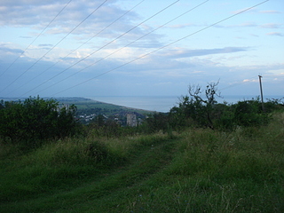 click for enlarge 1920 X 1440 163,8 Kb picture