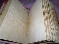 click for enlarge 1920 X 1440 439,5 Kb picture