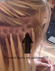 click for enlarge 1329 X 1725 462,4 Kb picture