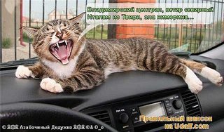 click for enlarge 600 X 353  62,5 Kb picture