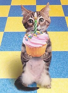 click for enlarge 292 X 400 37,2 Kb picture