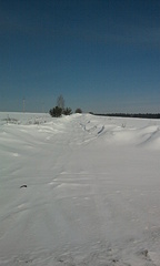 click for enlarge 240 X 400 25,5 Kb picture