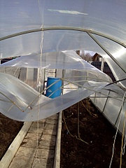 click for enlarge 1536 X 2048 978,2 Kb picture