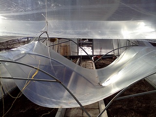 click for enlarge 1920 X 1440 857,9 Kb picture