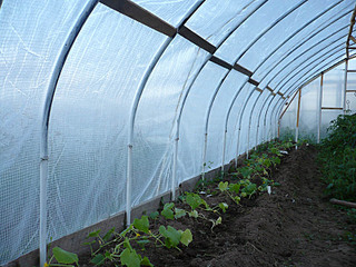 click for enlarge 800 X 600 124,7 Kb picture