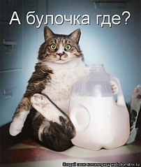 click for enlarge 510 X 604  50,6 Kb picture