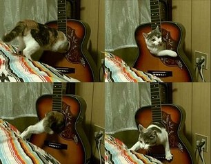click for enlarge 500 X 391  43,6 Kb picture