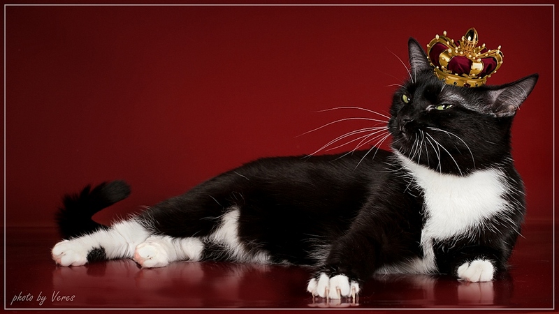 click for enlarge 1024 X 576 201,1 Kb picture