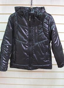 click for enlarge 374 X 512 38,7 Kb picture