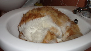 click for enlarge 600 X 337  35,3 Kb picture