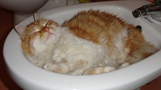 click for enlarge 600 X 337  37,6 Kb picture