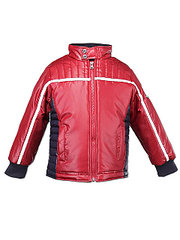 click for enlarge 480 X 640  40,5 Kb picture