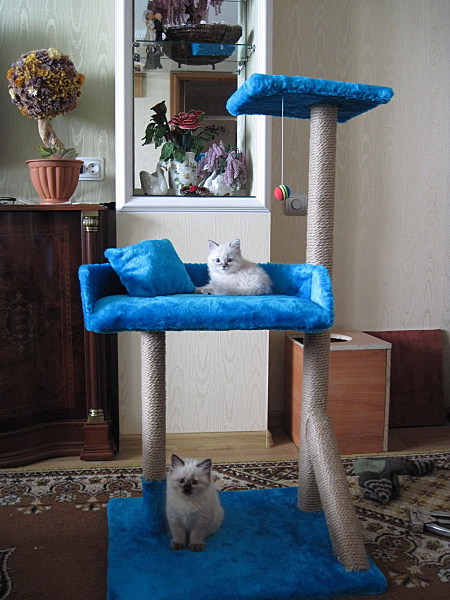 click for enlarge 1800 X 2400 358,3 Kb picture