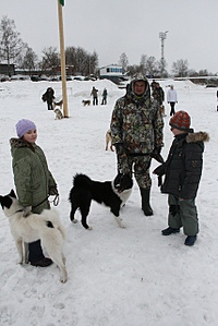 click for enlarge 427 X 640 120,6 Kb picture