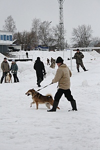 click for enlarge 427 X 640 115,8 Kb picture