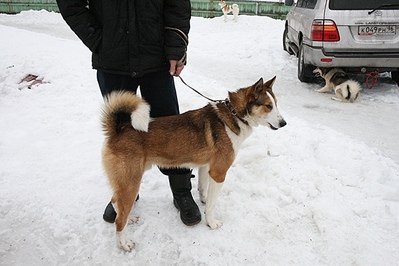 click for enlarge 640 X 427 112,8 Kb picture