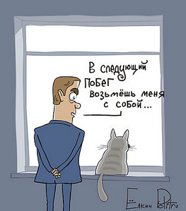 click for enlarge 422 X 480 30,5 Kb picture