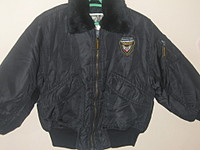 click for enlarge 1920 X 1440 472,8 Kb picture