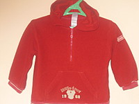 click for enlarge 1920 X 1440 471,9 Kb picture