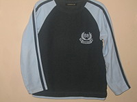 click for enlarge 1920 X 1440 432,7 Kb picture