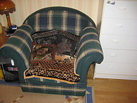 click for enlarge 1920 X 1440 248,1 Kb picture