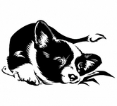 click for enlarge 300 X 271 33,3 Kb picture