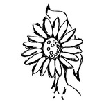 click for enlarge 591 X 591 59,0 Kb picture