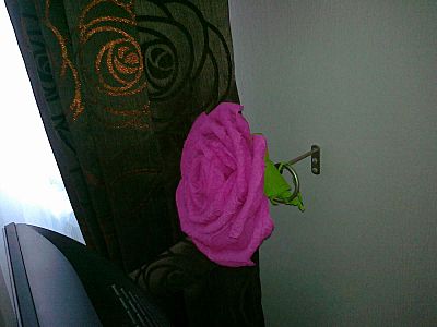 click for enlarge 1600 X 1200 177,3 Kb picture