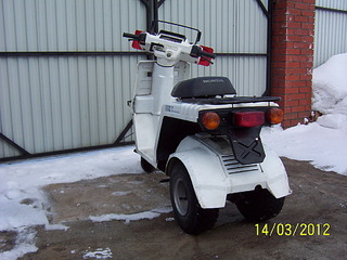 click for enlarge 1184 X 888 333,9 Kb picture