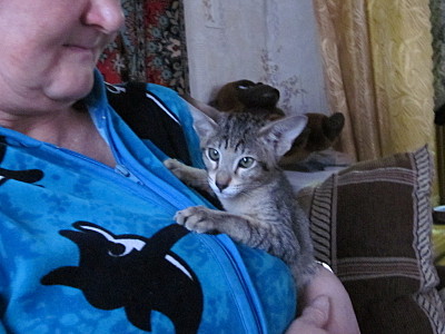 click for enlarge 1600 X 1200 544,4 Kb picture